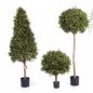 Preview: BOXWOOD BALL 50 cm 44550N